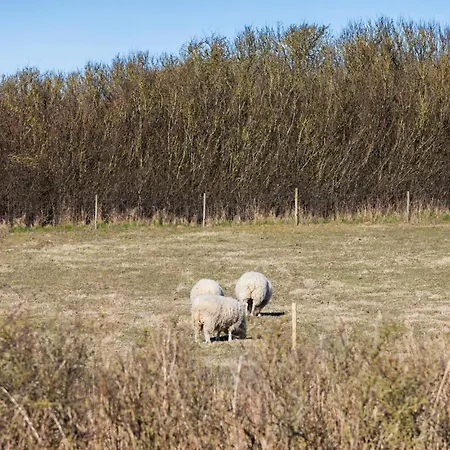 Pet Friendly In With Sauna بيت للعطل