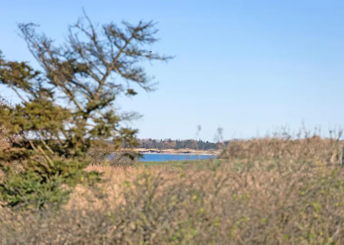 Prázdninový dům Pet Friendly In With Sauna Nordenbro Vesteregn