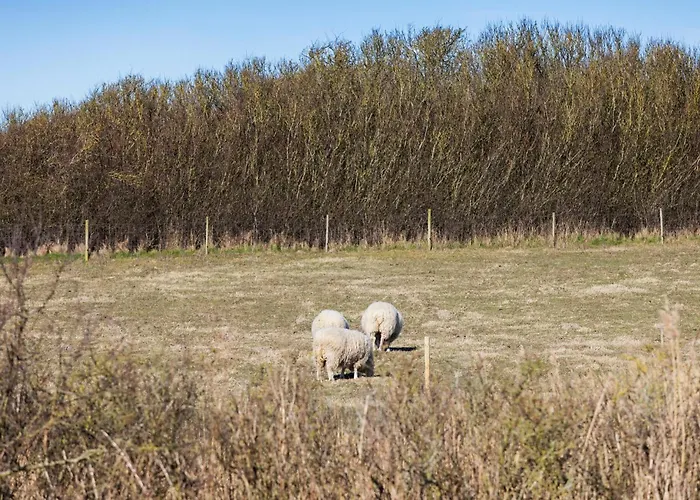 Pet Friendly In With Sauna Prázdninový dům